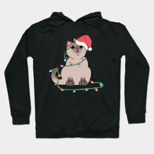 Siamese Cat Christmas lights funny cat lover xmas hat Hoodie